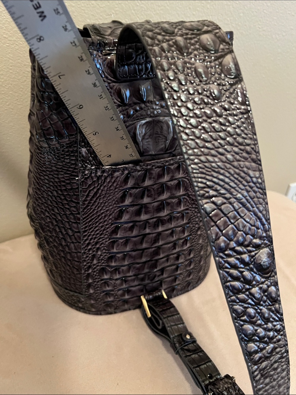 Brahmin - Picture 6 of 8